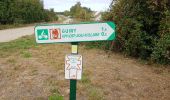 Randonnée Marche Guiry-en-Vexin - guiry en wexin - Photo 13