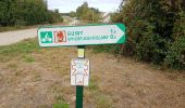 Tour Wandern Guiry-en-Vexin - guiry en wexin - Photo 13