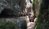 Randonnée Marche Plan-de-Baix - ferme de sauzy canyon des guelards retour par le velan - Photo 3