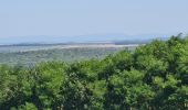 Tour Wandern Bouxières-aux-Chênes - bouxieres aux chênes - Blanzey - Photo 17