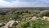 Excursión Senderismo Alayor - Cala en Porter – Sant Tomàs - Photo 14