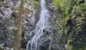 Tocht Stappen Bad Rippoldsau-Schapbach - Bad Rippoldsau - cascade de Burgbach – lac de retenue Kinzig -  cascade du Büstenloch - Photo 6