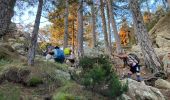 Excursión Senderismo Quenza - Col de Bavella-Conca Étape GR - Photo 16