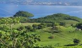 Excursión Senderismo Les Trois-Îlets - Boucle de Anse à l'âne et Galochat à Trois-Îlets. - Photo 4