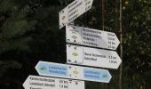 Trail On foot Lauterbach - Lauterbacher Wandersteig - Photo 4