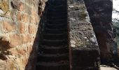 Percorso Marcia Obersteinbach - Obersteinbach - châteaux du Petit Arnsberg, du Wasigenstein et du Blumenstein - Photo 13