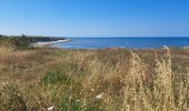 Trail Walking Saint-Denis-d'Oléron - Oléron phare de Chassiron - Photo 2