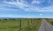 Tour Wandern Saint-Chély-d'Aubrac - St Chelsy, Aubrac, Les Enfrux - Photo 4