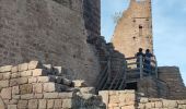 Tocht Stappen Eguisheim - Rando des cinq châteaux  - Photo 7