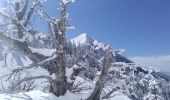 Excursión Esquí de fondo Corrençon-en-Vercors - tête chaudière et petite moucherolle - Photo 3