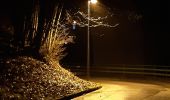 Randonnée Marche Vittel - petite balade nocturne dans le parc de Vittel  - Photo 7