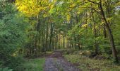 Tocht Stappen Romanswiller - Heidenschloss - Cascade Mencke via Bischofslaeger - Photo 1