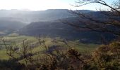 Tour Wandern Saint-Martin-en-Vercors - Pas st Martin - Photo 2