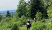 Trail Horseback riding Bertrimoutier - Restaurant belle vue col de sainte marie Tivio  - Photo 13