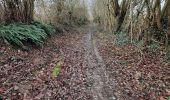 Tocht Stappen Valorbiquet - St Cyr du Ronceray  - Photo 6