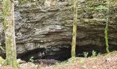 Excursión Senderismo Villard-de-Lans - La moliere - col d'herbouilly - pot du loup - crête - Photo 2