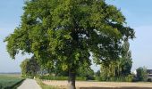 Excursión Senderismo Ottignies-Louvain-la-Neuve - 2020-05-21 IR226 Rofessart 20 Km de GR Rando - Photo 15