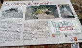 Trail Walking Saumane-de-Vaucluse - saumane et ses environs - Photo 1