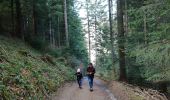 Randonnée Marche Autrans-Méaudre en Vercors - Le bois du Claret - Photo 5