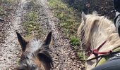 Trail Horseback riding Saint-Martin - Dimanche 25 février 24 aller - Photo 7