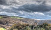 Tour Zu Fuß Albinea - Borzano - Ca' dei Duchi - Bellavista - Ca' del Vento - Giareto - Borzano - Photo 3