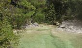 Trail Walking Navacelles - cal - Photo 10