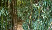 Tour Wandern Confolens - Confolens - Photo 3