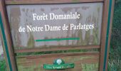 Tour Wandern Saint-Pierre-de-la-Fage - St Pierre de la Fage - Parladges  - Photo 1