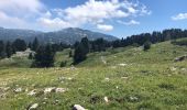 Tour Zu Fuß Gresse-en-Vercors - Massif Aiguille et Grand Veymont - Photo 6