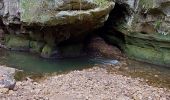 Excursión Senderismo Waldbillig - mullerthal - Photo 5