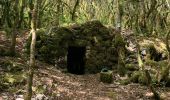 Trail Walking Auxey-Duresses - Camp des Celtes et sentier des Cabottes - Photo 6