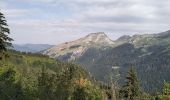 Tour Wandern Morzine - 74-Avoriaz-cretes-belvedere-10km-360 - Photo 11