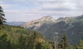 Tocht Stappen Morzine - 74-Avoriaz-cretes-belvedere-10km-360 - Photo 11