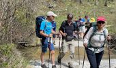 Tour Wandern Cipières - Cipieres : le grand Pounch - Photo 5