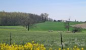 Excursión Senderismo Urvillers - parcours urvillers moy de l'aisne - Photo 8