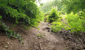 Randonnée Marche Thuin - Balade de Thuin au Hameau des Waibes - Photo 2