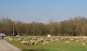 Tocht Te voet Markgröningen - DE-SAV Rotes Kreuz, von - nach? - Photo 4