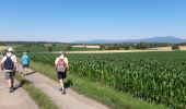 Trail Walking Heimsbrunn - Heimsbrunn  - Photo 1