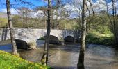 Tocht Stappen Rochefort - rando belvaux 28-04-2023 - Photo 4