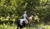 Tour Reiten Gavarnie-Gèdre - Gavarnie étape 6 Guèdre - Photo 5