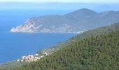 Trail On foot Riccò del Golfo di Spezia - S.Benedetto – Porcale -Codeglia – Carpena – Sella di Carpena - Photo 2