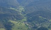 Tocht Stappen Verdaches - VERDACHE Tour de Gareous , pâturages du Blayeul n - Photo 13