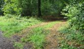 Randonnée Marche Paliseul - Boucle bois Neuvi, la grotte de Nollevaux, La Plaide - Photo 10