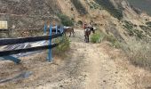 Tocht Trail Cabanaconde - Sangale-Cosnihua - Photo 6