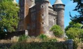 Tour Wandern Laguiole - Boucle Laguiole Aveyron  - Photo 10
