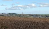 Trail Walking Tannières - Tannières du 04-03-2024 - Photo 2