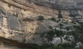 Randonnée Marche Minerve - Minerve - Gorges du Briant par le GR77 - Photo 9