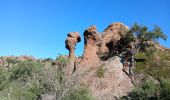 Excursión Senderismo Le Muy - Rocher de Roquebrune, Les 2 frères - Photo 1