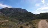 Trail Walking Marseille - Vallon Ricard (Petite boucle) - Photo 1