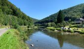 Tocht Stappen Vresse-sur-Semois - Alle toer 10 km - Photo 12